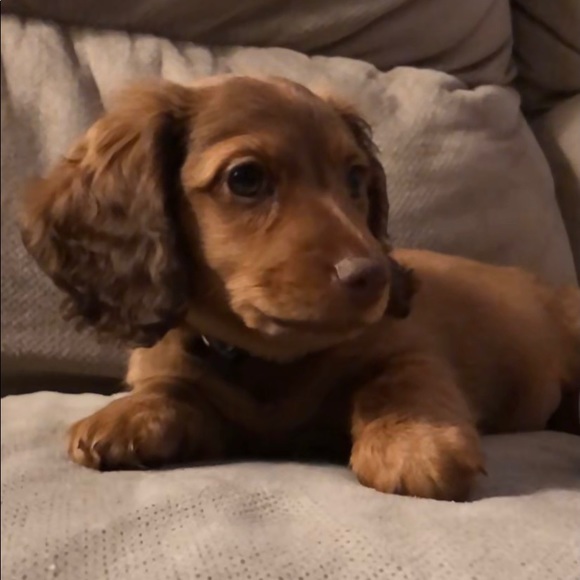 Meet your Posher, Melissa - Picture 5 of 12